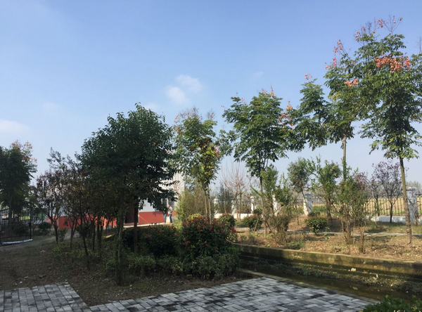 1639702934801631.png 图片1人.png