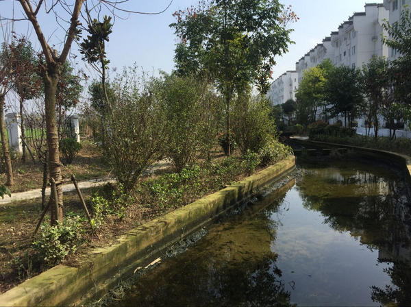 1639702954530388.png 图片1的.png