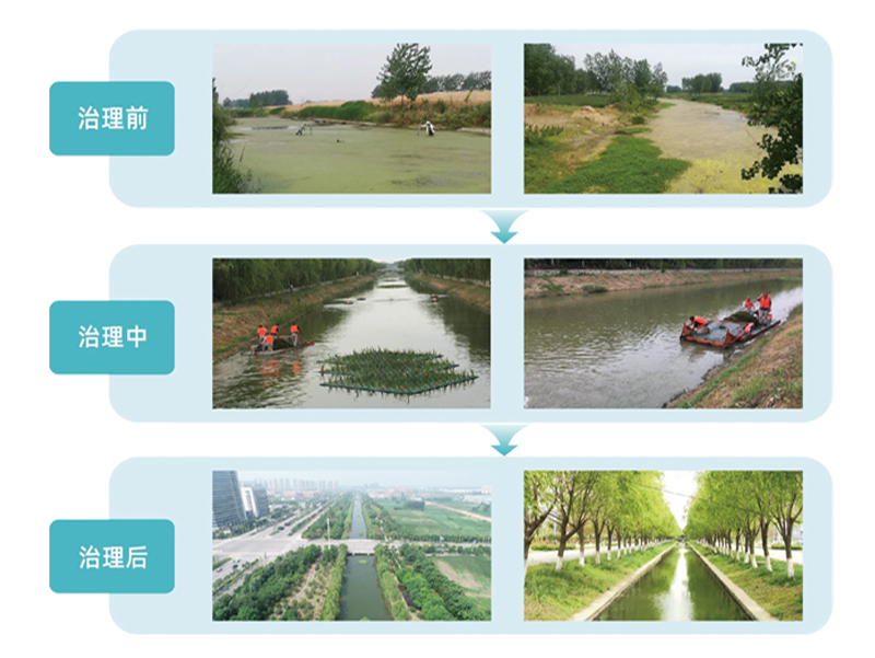 1716970479423011.jpg 67e5fb42126fb8454e33228e9c85ada.jpg